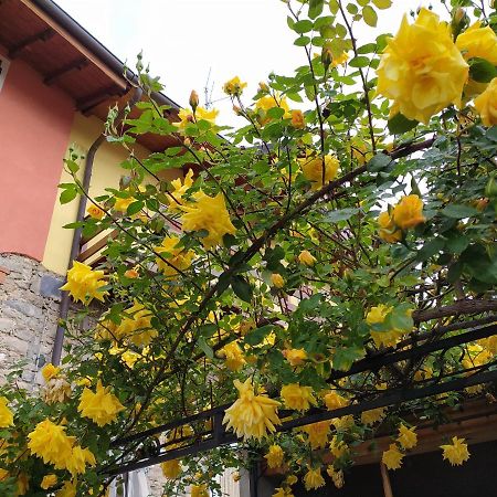 Lakes & Hills Villa Nebbiuno Luaran gambar